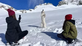 V předposledním díle 8. série jsme se podívali do Itálie a Švýcarska. Zvládnete kvíz na jedničku?