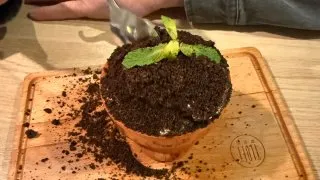 Fotr na tripu 11, Slovinsko