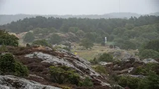 Trip Volvo 2026, Pilane