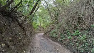 Devínská Kobyla