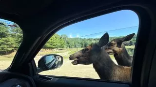 Fotr na tripu 10, Parc Omega