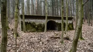 Subaru trip, Baťa