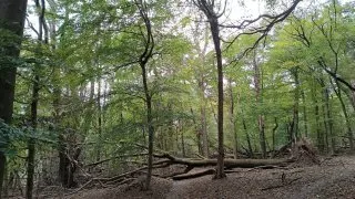 Devínská Kobyla