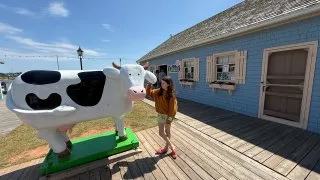 Fotr na tripu 10, Ostrov prince Edwarda