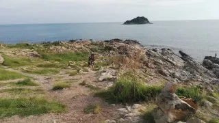 Thajsko - pláže a trhy