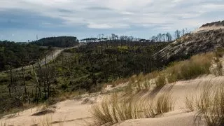 Ford trip, Duna du Pyla