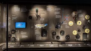 Národní muzeum Praha