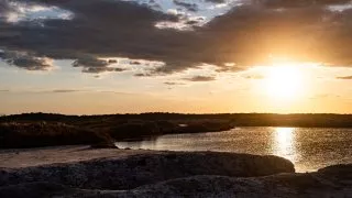 Ford trip, Camargue