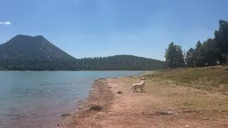 S pejskem na Route 66