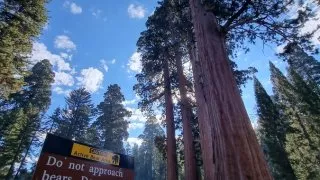 Kalifornský národní park Sequoia