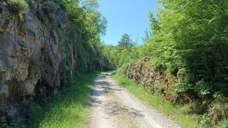 Parenzana II