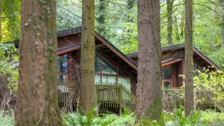 Forest Holidays