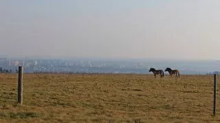 Procházka v Prokopáku