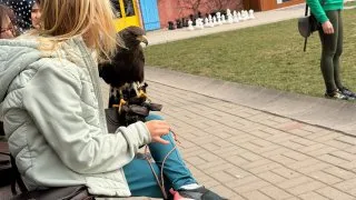 Fotr na tripu 11, Slovensko