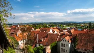Trip Chorvatsko 2026, Ptuj
