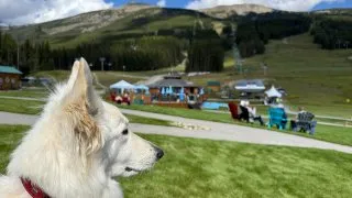 Fotr na tripu 10, Alberta vs Kolumbie