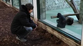 Vánoční trhy - Wroclaw