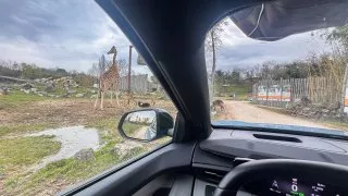 Ford trip, Parco Natura Viva