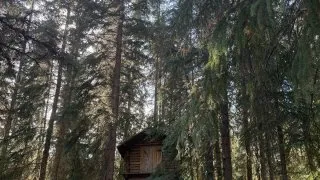 Fotr na tripu 10, Dawson City