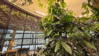 Fotr 11, Helsinky, čokoládovna