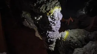 Trip Chorvatsko 2026, Cerovačke špilje