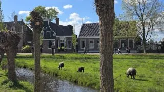 Zaanse Schans