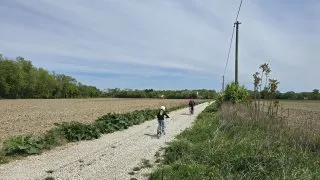 Žitný ostrov, vodní mlýny na kole