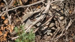 Dacia Bigster, trip Itálie, Cagliari