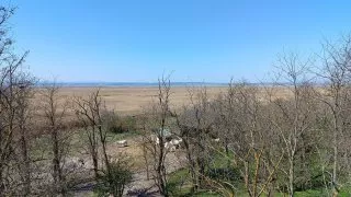 Neusiedler See
