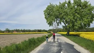 Žitný ostrov, vodní mlýny na kole