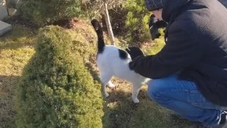 Vánoční trhy - Wroclaw