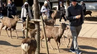 Japonsko_cestopis_2. část