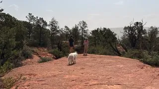 S pejskem na Route 66