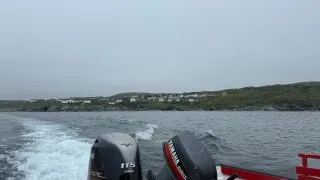 Fotr na tripu 10, velryby