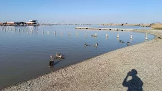 Neusiedler See