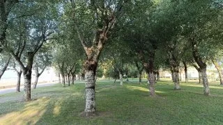Grado, Itálie