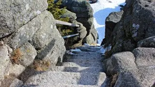 Třístoličník, Šumava