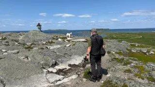 Fotr na tripu 10, vikingové