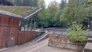 Saské Švýcarsko a Bastei