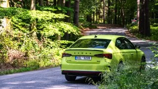 Škoda 130 let, Radostín a další RZ Bohemia Rally
