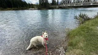 Fotr na tripu 10, Banff