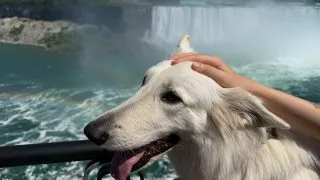 Fotr na tripu 10, Niagarské vodopády