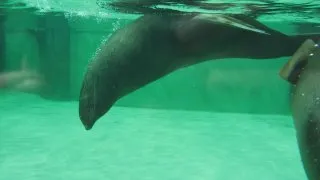 Zoo Praha