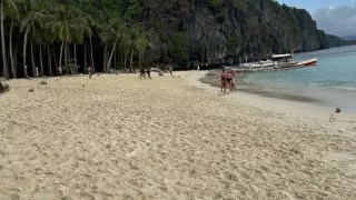 Palawan, Filipíny