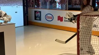 Fotr na tripu 10, hokejová síň slávy