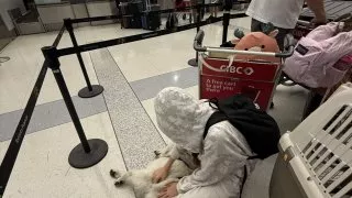 Fotr na tripu 10, návrat