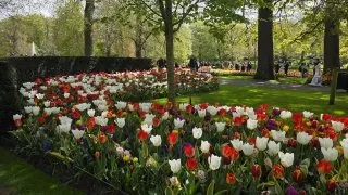 Keukenhof