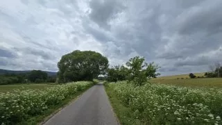 Inline Šumava