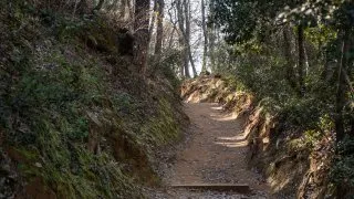 Ford trip, Roussillon
