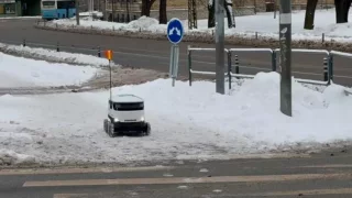 Fotr na tripu 9, Talinn roboti